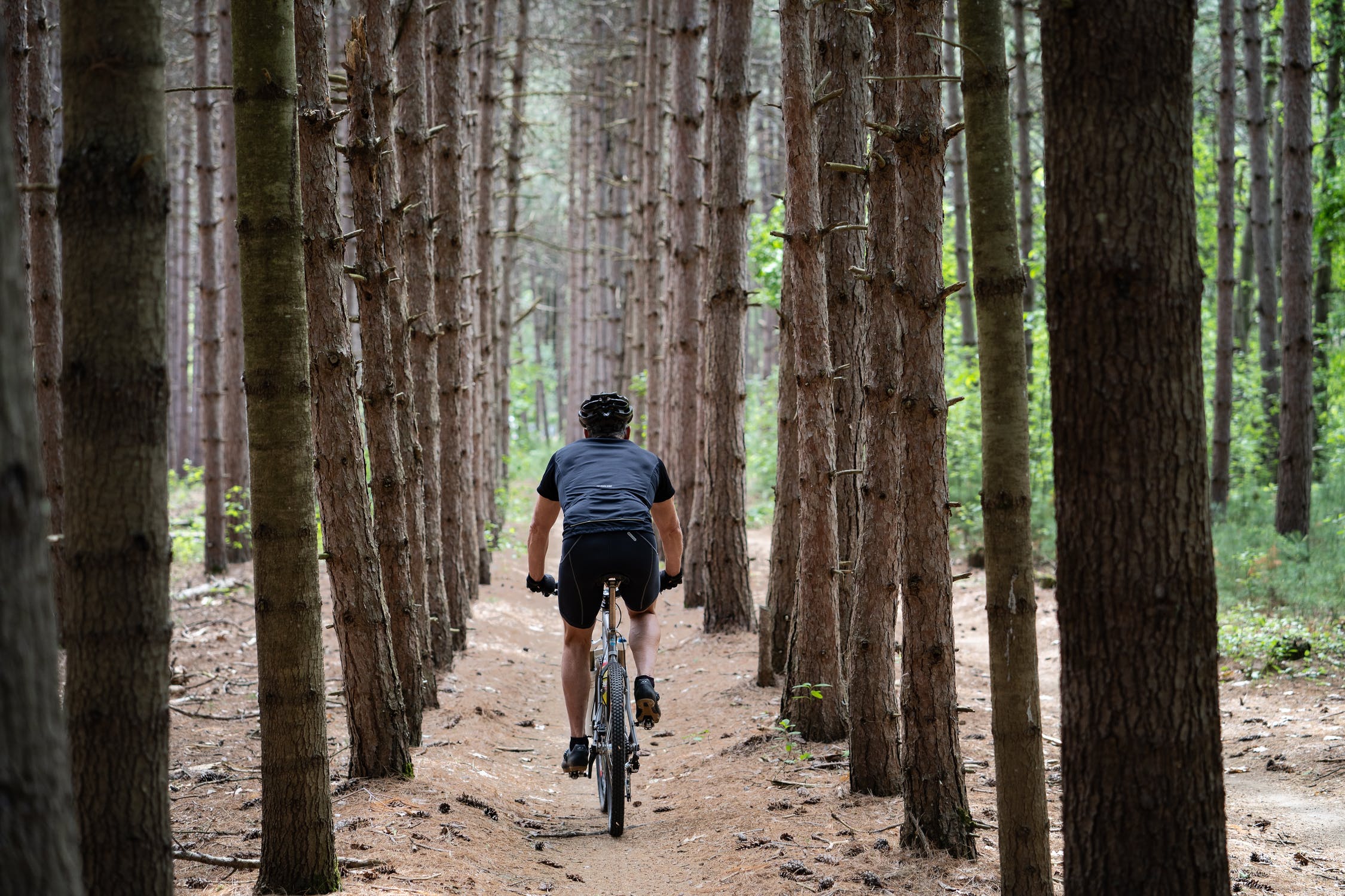 what is alloy bike